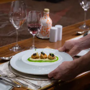 Wine Experience + Jantar